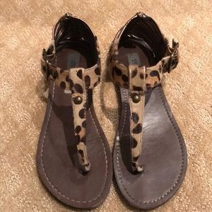 Leopard Steve Madden Sandals
